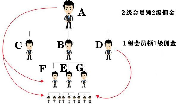 2024新澳门2024免费原料网